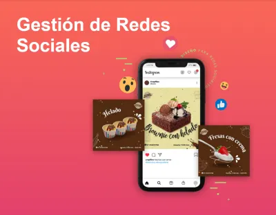 Gestión de Redes Sociales (Social Media)